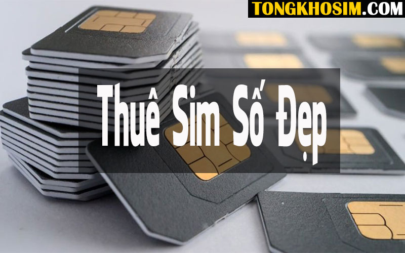Thuê sim số là hình thức mượn sim số sử dụng trong một khoảng thời gian