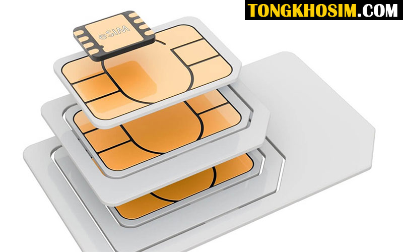sự phát triển của esim trong tương lai