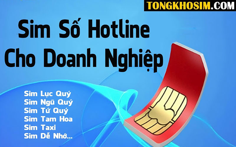 Thế nào là sim số hotline