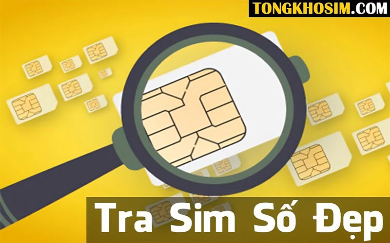 Cách Tra Sim Số Đẹp Chính Chủ Đơn Giản và Chính Xác Nhất