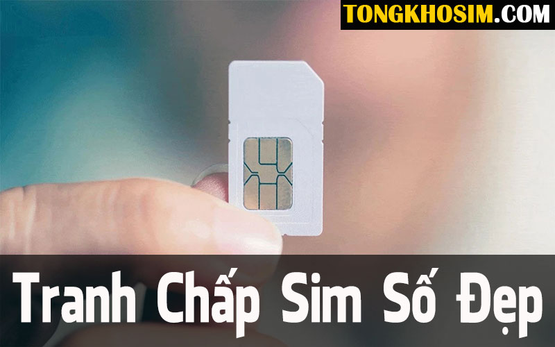 Cách Xử Lý Tranh Chấp Sim Số Đẹp Đơn Giản Và Nhanh Nhất