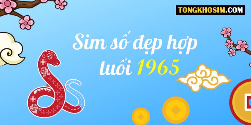 Cách Chọn Sim Hợp Tuổi 1965 Ất Tỵ Đem Lại Tài Lộc
