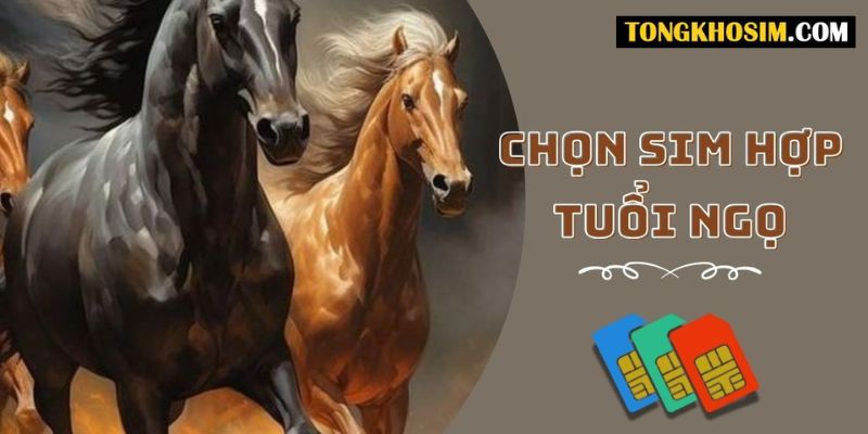 cách chọn sim hợp tuổi 1966