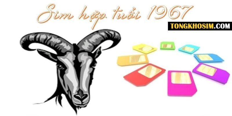 cách chọn sim hợp tuổi 1967
