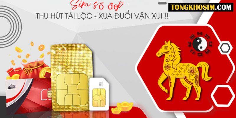 Cách Chọn Sim Hợp Tuổi 1966 Tuổi Bính Ngọ Thêm May Mắn