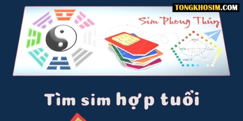 cách chọn sim hợp tuổi 1968