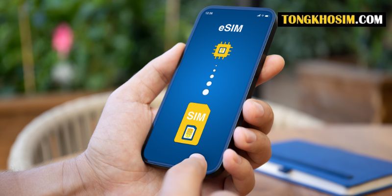 tuổi mậu thân hợp sim số nào