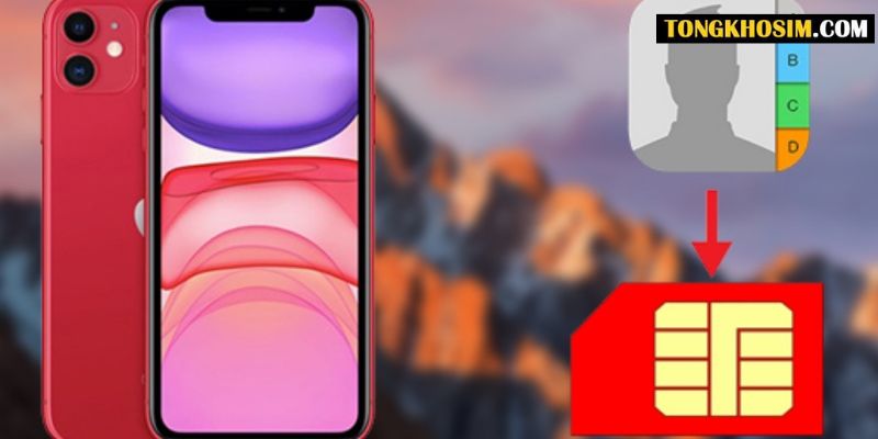 sao chép danh bạ từ máy sang sim iphone