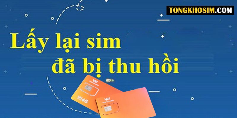 Hướng dẫn cách lấy lại sim Vietnamobile bị thu hồi