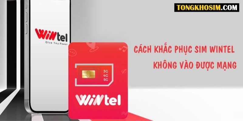 Sim Wintel không vào được mạng - Nguyên nhân và cách khắc phục