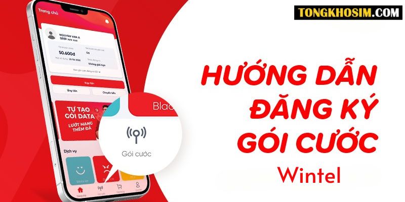 Hướng dẫn cách đăng ký mạng sim Wintel nhanh chóng