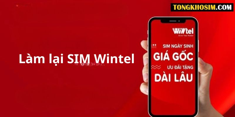 Hướng dẫn cách làm lại sim Wintel online cực nhanh chóng
