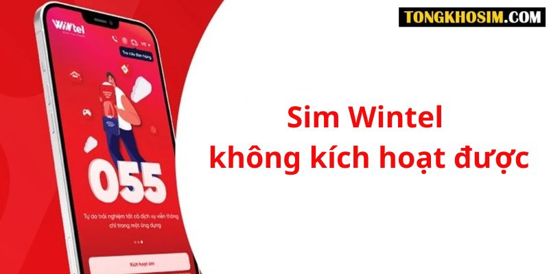 Nguyên nhân và cách khắc phục sim Wintel không kích hoạt được