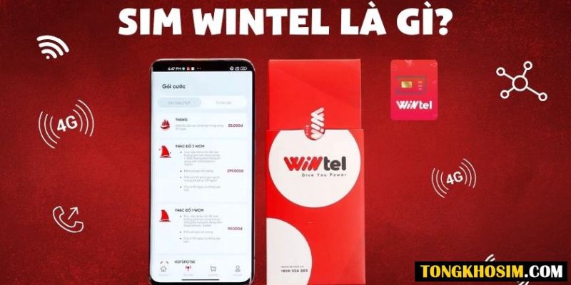 Sim Wintel là gì? Khám phá những lợi ích khi sử dụng sim Wintel