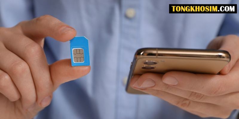 cách lấy lại số điện thoại bị mất sim