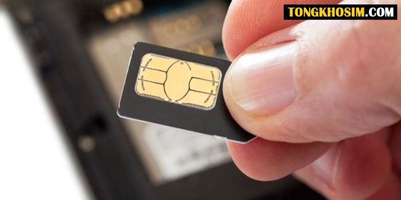mất sim không chính chủ có làm lại được không