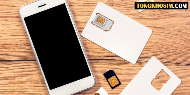 sim không chính chủ mất có làm lại được không
