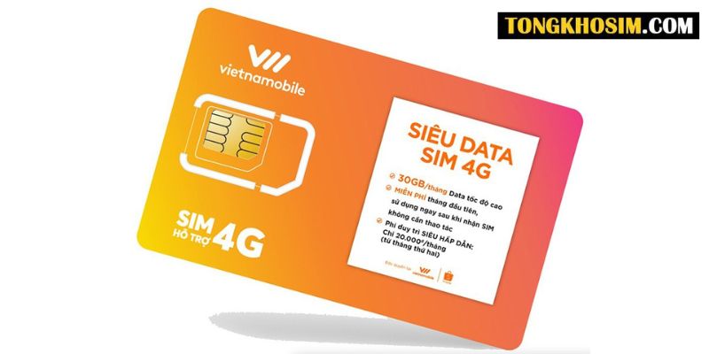 Hướng dẫn cách mua ngày sử dụng Vietnamobile