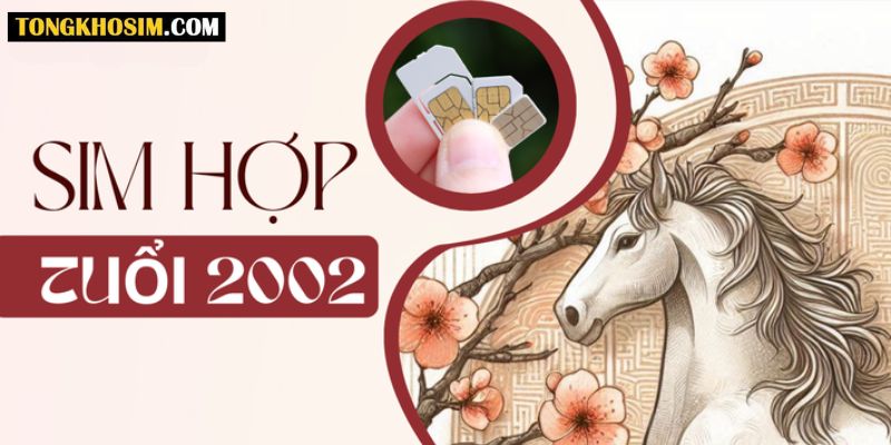 Hướng dẫn cách chọn sim hợp tuổi 2002 chính xác nhất