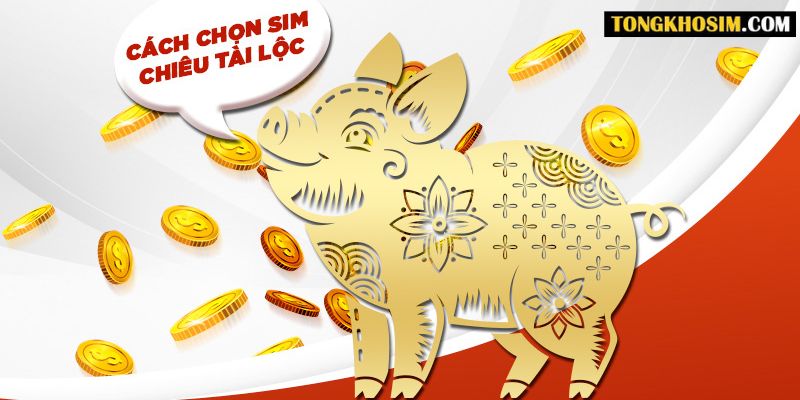 Cách chọn sim hợp tuổi 2007 giúp sự nghiệp, tình duyên viên mãn