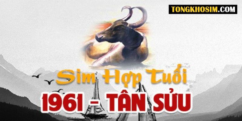 sim hợp tuổi 1961