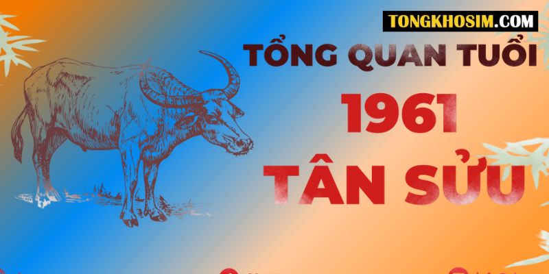 cách chọn sim hợp tuổi 1961