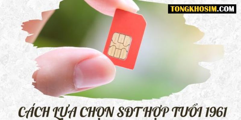 lựa chọn sim hợp tuổi 1961 