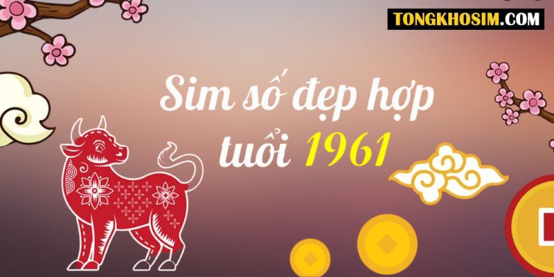 Hướng dẫn Cách Chọn Sim Hợp Tuổi 1961 giúp thu hút Tài Lộc