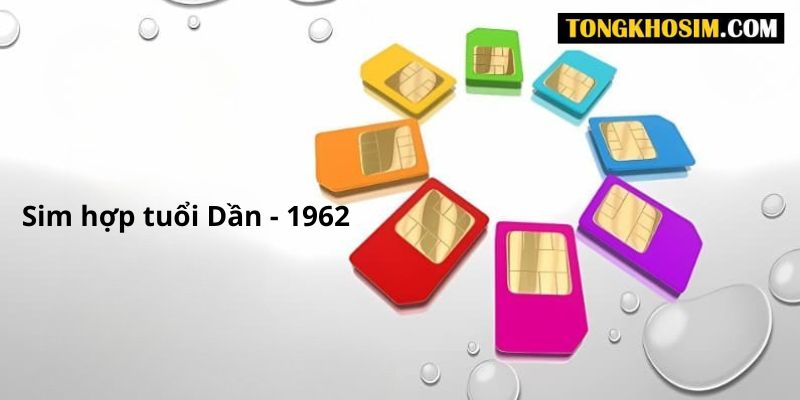 cách chọn sim hợp tuổi 1962