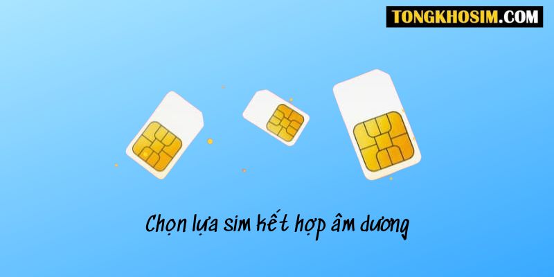sinh năm 1962 hợp số nào
