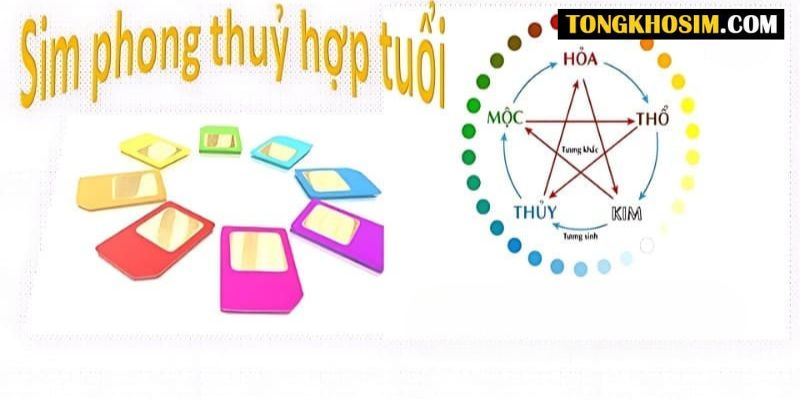 Cách Chọn Sim Hợp Tuổi 1962 Để Thu Hút May Mắn, Tài Lộc