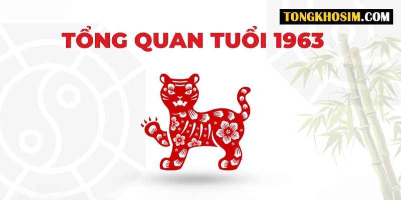 cách chọn sim hợp tuổi 1963