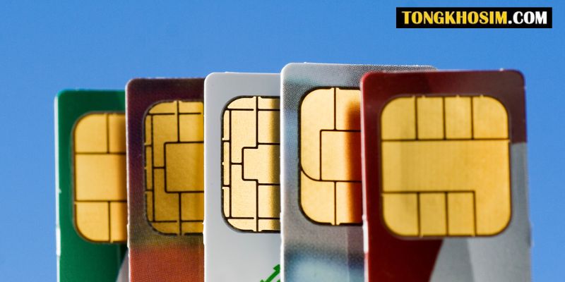 chọn sim điện thoại hợp tuổi 1966