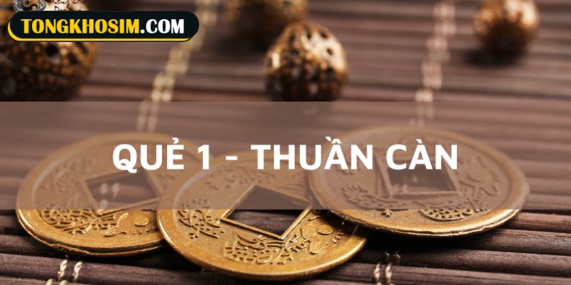 Những ý nghĩa nổi bật của sim quẻ 1 Thuần Càn