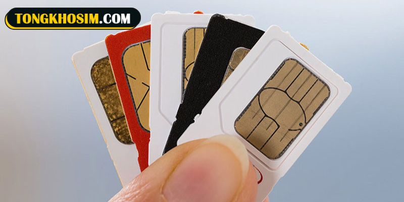 Ý nghĩa nổi bật của sim quẻ số 15 Địa Sơn Khiêm với chủ nhân sở hữu