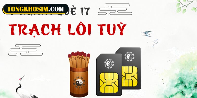 Sim quẻ 17 Trạch Lôi Tùy có thể hấp thụ năng lượng một cách linh hoạt