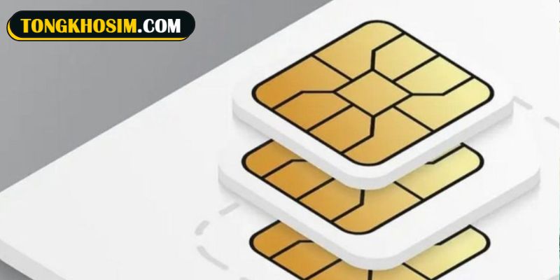 Sim quẻ 18 mang nhiều ý nghĩa nổi bật trong phong thủy