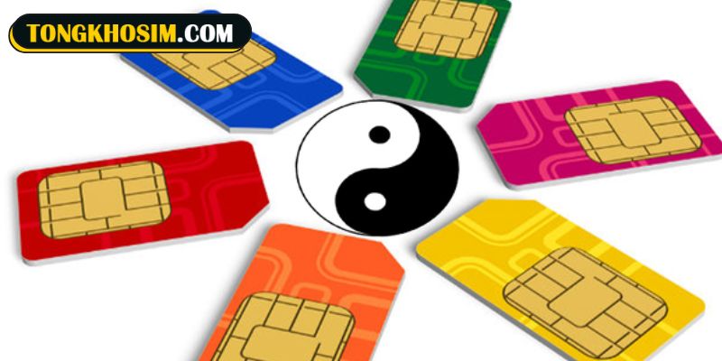 Ý nghĩa của sim quẻ 2 Thuần Không theo phong thủy