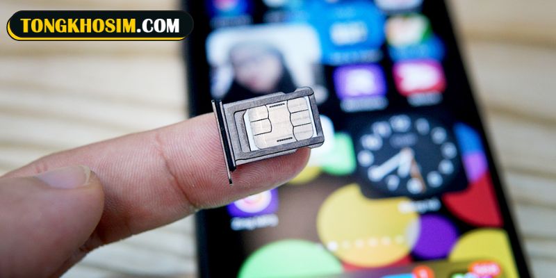Sim quẻ 24 đem tới nguồn năng lượng phong thủy tích cực cho mọi người