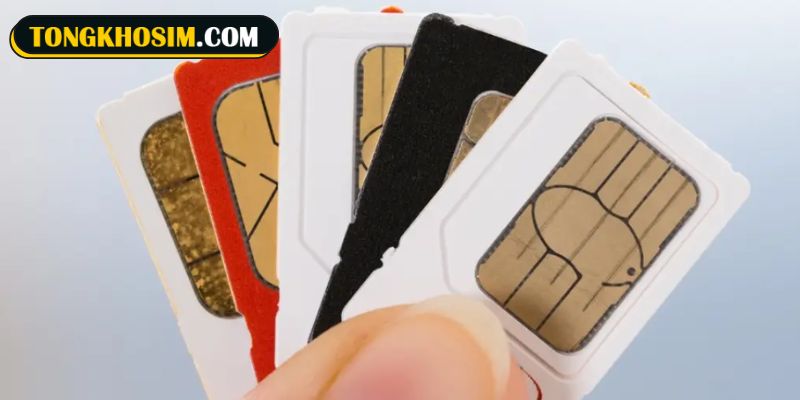 Sim quẻ 25 Thiên Lôi Vô Vọng mang đến nguồn năng lượng tích cực cho mọi người