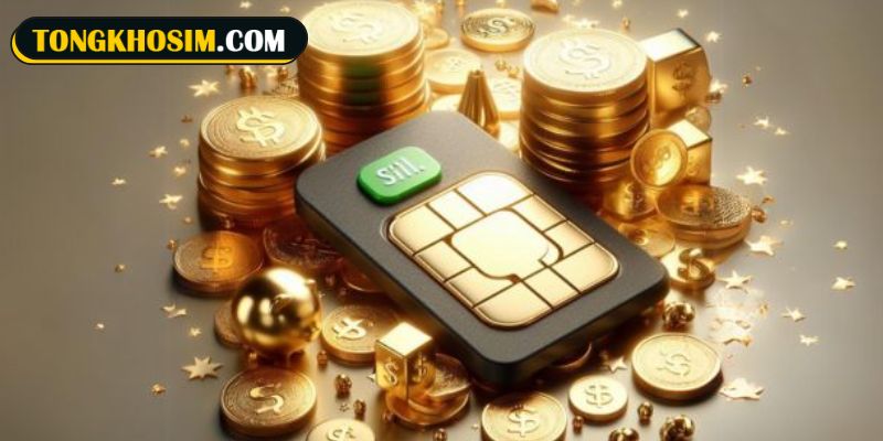 Những ý nghĩa của sim quẻ số 3 Thủy Lôi Truân trong phong thủy