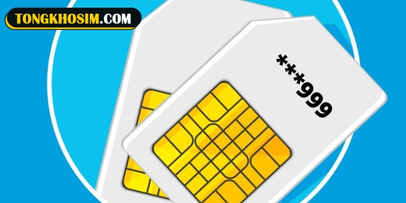 Ý nghĩa nổi bật của sim quẻ số 30 với chủ nhân