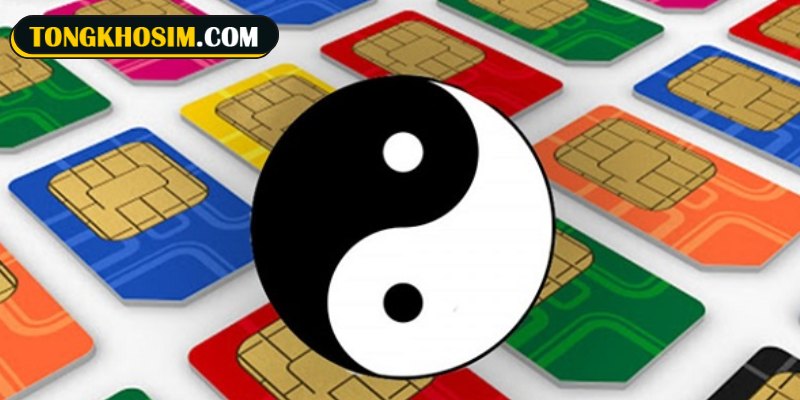Sim quẻ 36 Địa Hỏa Minh Di mang nhiều ý nghĩa nổi bật chỉ đường vượt qua nghịch cảnh
