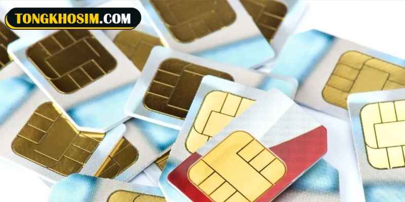 Sim quẻ số 4 Sơn Thủy Mông đang là lựa chọn nhiều chủ sim yêu thích