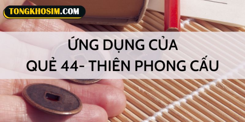 Những ý nghĩa đặc biệt của sim quẻ số 44 Thiên Phong Cấu