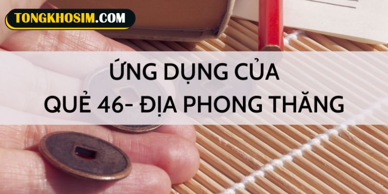 Ý nghĩa nổi bật của sim quẻ 46 Địa Phong Thăng
