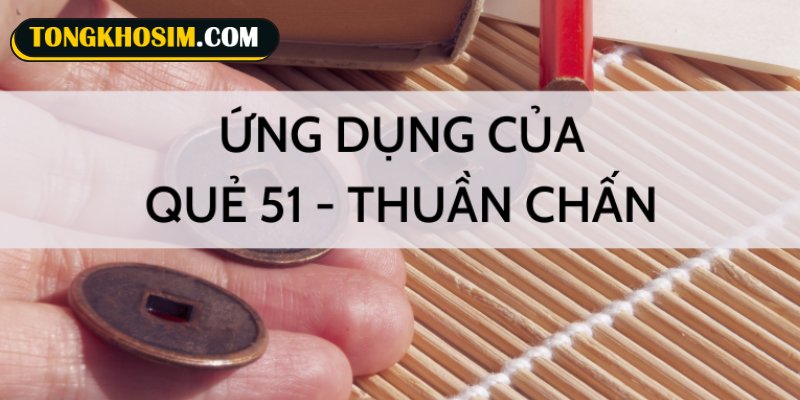 Những ý nghĩa nổi bật của sim mang quẻ 51 Thuần Chấn