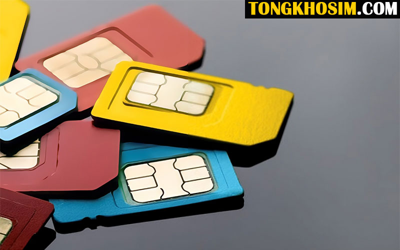 sim tam hoa giữa là gì