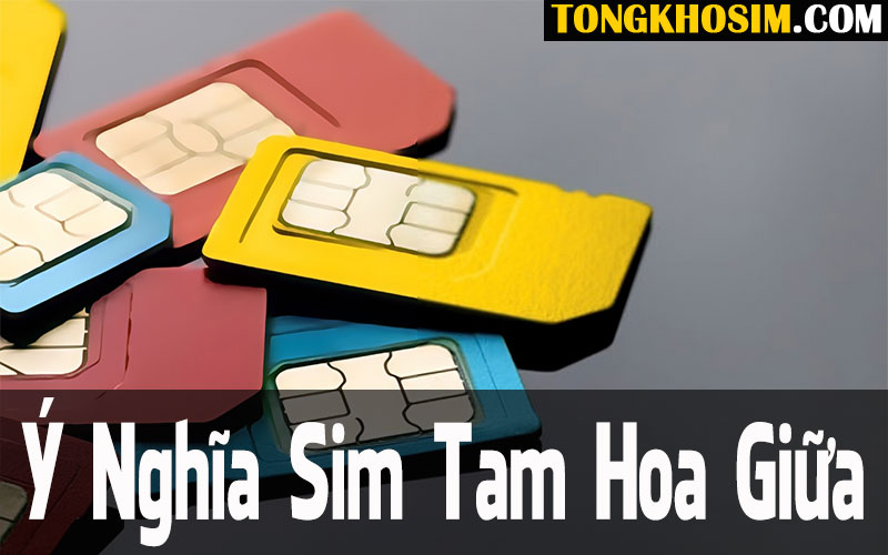 Ý Nghĩa Sim Tam Hoa Giữa Có Gì Nổi Bật?