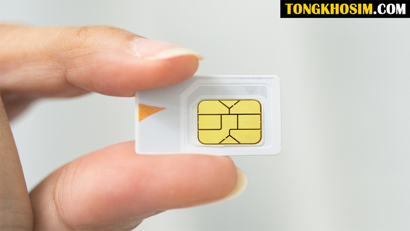 ý nghĩa số 59 trong sim số